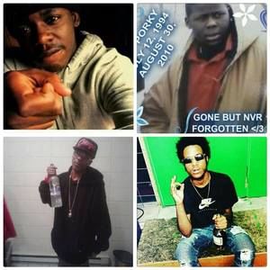 Meet your Posher, Bobbie